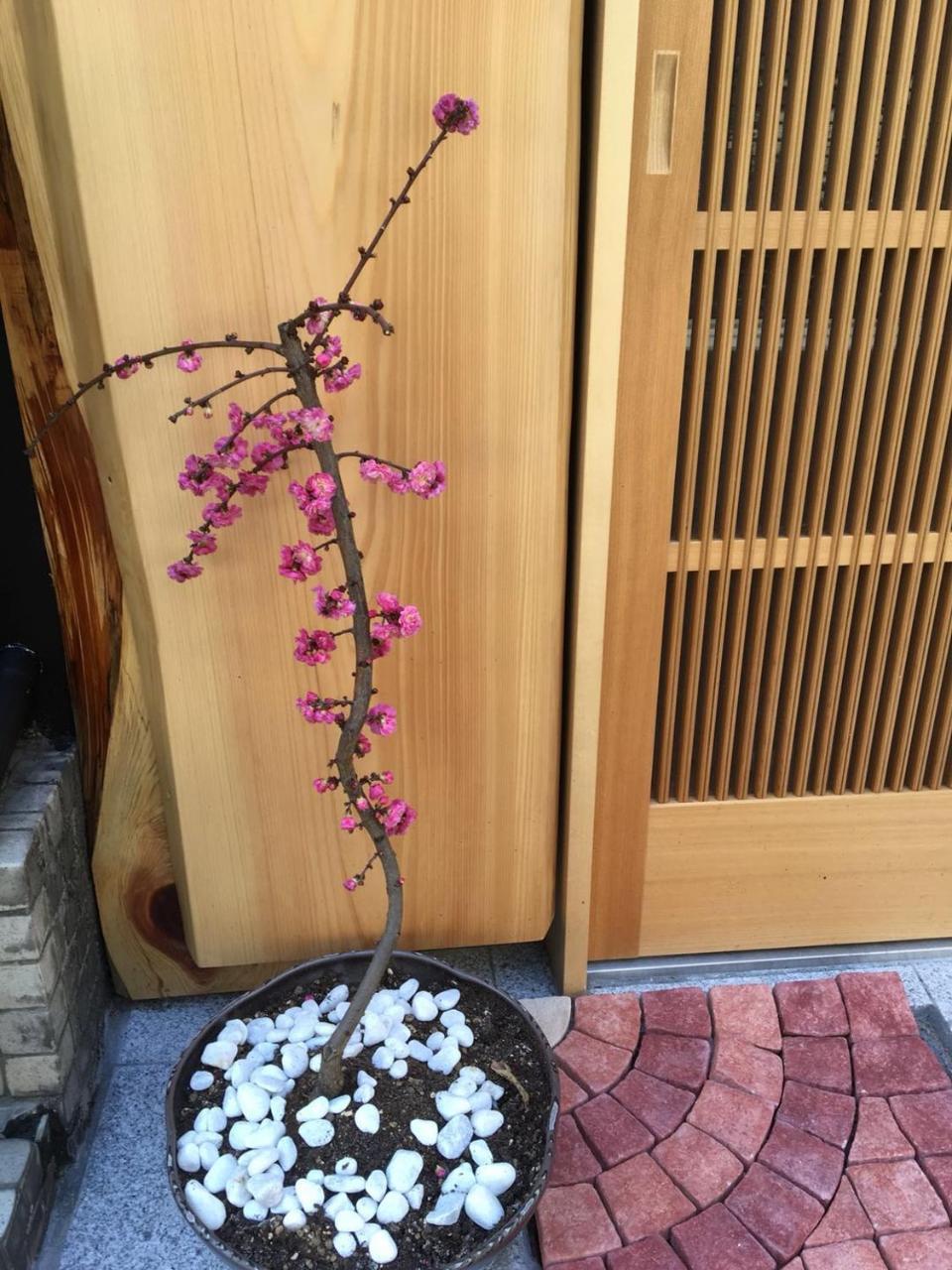 Apartamento 美築八坂 Kioto Exterior foto